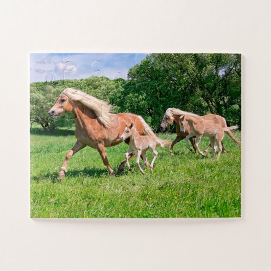 Haflinger-paarden met Cute Foals Draait Foto * Legpuzzel (Horizontaal)