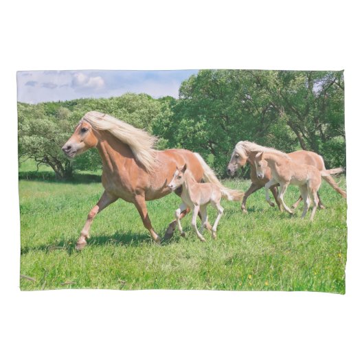 Haflinger paarden met Cute Foals maken een grappig Kussensloop (Voorkant)