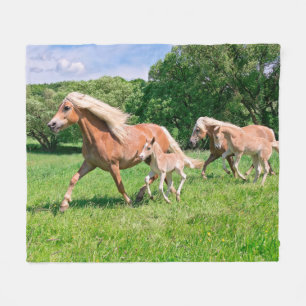 Haflinger-paarden met Cute Foals met Funny Photo Fleece Deken