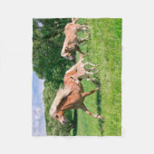 Haflinger-paarden met Cute Foals met Funny Photo / Fleece Deken (Voorkant)