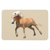 Haflinger Paardenmagneet. Magneet (Horizontaal)