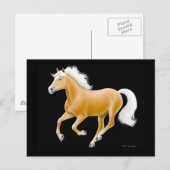 Haflinger Palomino Horse Briefkaart (Voorkant / Achterkant)