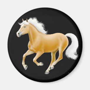 Haflinger Palomino Horse Magnet Black Magneet