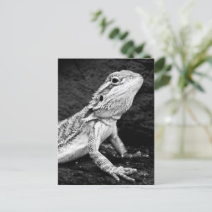 hagedis briefkaart