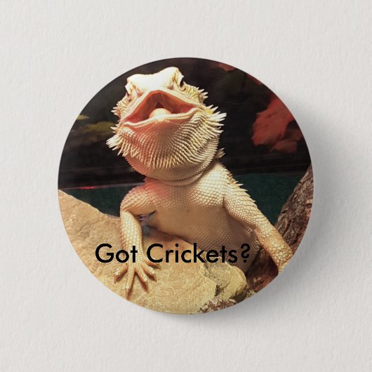 hagedis/cricketButton Ronde Button 5,7 Cm (Voorkant)