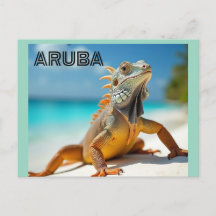 hagedis die geniet van het strand in aruba