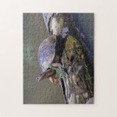 Hagedis en Riverschildpad bij Tortuguero - Costa R Legpuzzel (Verticaal)