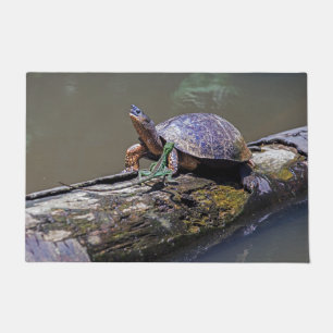 hagedis- en rivierschildpad in Tortuguero - Costa Deurmat
