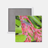 Hagedis en schoonheid magneet (Voorkant / Achterkant)