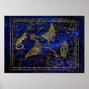 hagedis - en zwaanconstellatie - poster