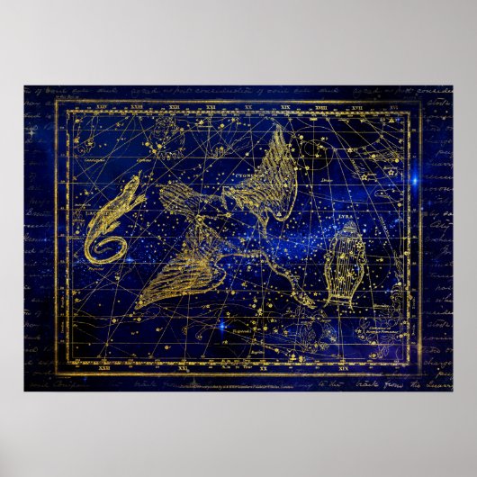 hagedis - en zwaanconstellatie - poster (Voorkant)