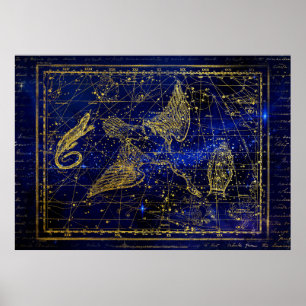 hagedis - en zwaanconstellatie - poster