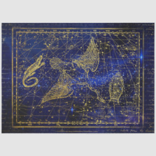 hagedis- en zwaanconstellatieweefselpapier tissuepapier
