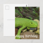 Hagedis in de tuin Gefeliciteerd met je verjaardag Briefkaart (Voorkant / Achterkant)