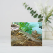 hagedis in een Terrarium Briefkaart (Staand voorkant)