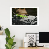 hagedis in het sloophout poster (Thuiskantoor)