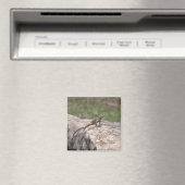 hagedis magneet (Insitu (Vaatwasser))