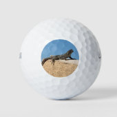 Hagedis op Baksteen Golfballen (Voorkant)