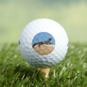 Hagedis op Baksteen Golfballen (Insitu Shirt)