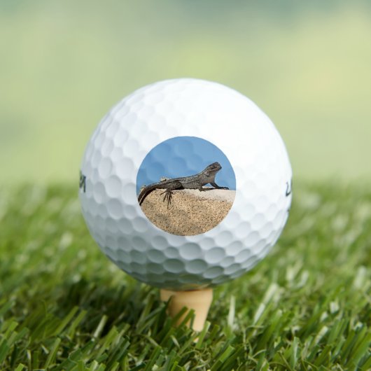 Hagedis op Baksteen Golfballen (Insitu Shirt)