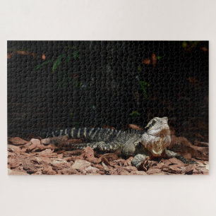 Hagedis reptiel - oostelijke waterdraak legpuzzel
