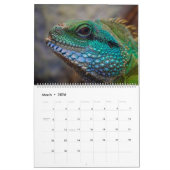 Hagedis Theme 2025 Muur Kalender Gift (Mar 2026)