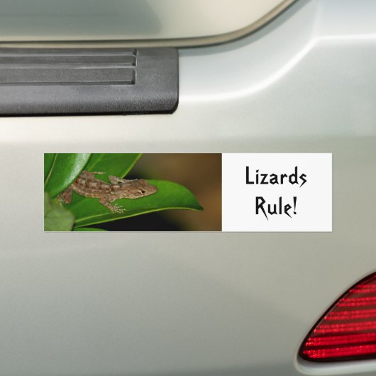 Hagedisregel Bumpersticker (Op auto)
