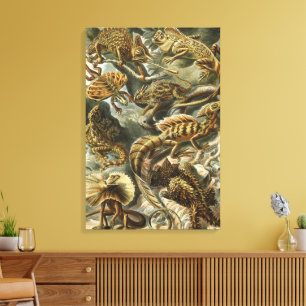 Hagedissen door Ernst Haeckel  Lacertilia Animal Canvas Afdruk