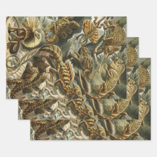 Hagedissen door Ernst Haeckel  Lacertilia Animal Inpakpapier Vel