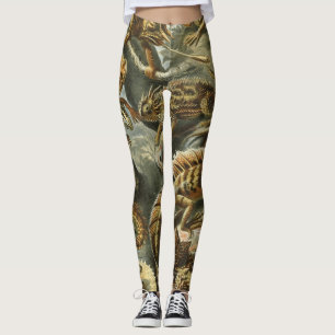 Hagedissen door Ernst Haeckel  Lacertilia Animal Leggings