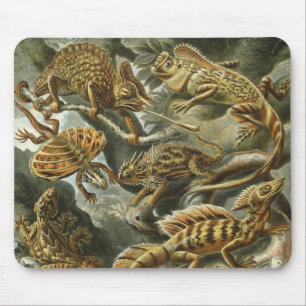 Hagedissen door Ernst Haeckel Vintage Lacertilia D Muismat