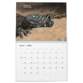 hagedissen kalender (Mar 2026)