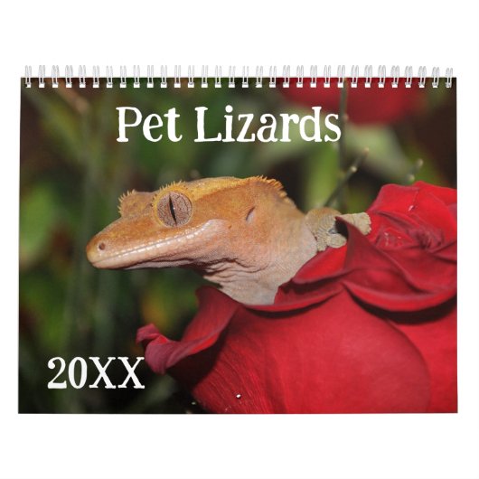 hagedissen kalender (Hoes)