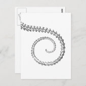  hagedisskelet briefkaart (Voorkant / Achterkant)