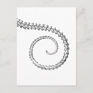  hagedisskelet briefkaart