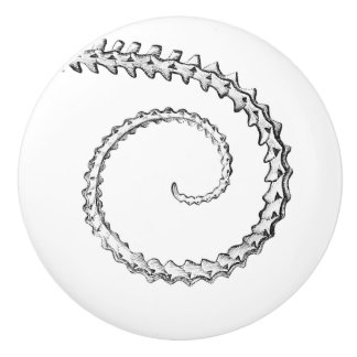 hagedisskelet keramische knop
