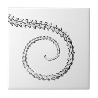  hagedisskelet tegeltje