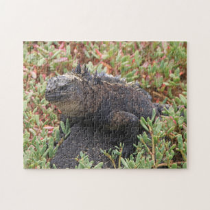 hagedisspuzzel legpuzzel