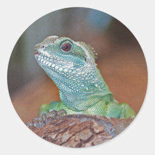 hagestickers ronde sticker