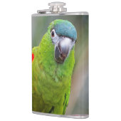 Hahn's Mini Macaw / Macaw met schouderklopjes Heupfles (Links)