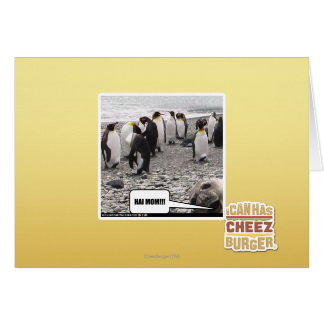 HAI MOM ! ! ! (Devant horizontal)