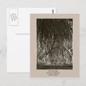 Haies foncées, Stranocum, Ballymoney NI carte post (Devant / Derrière)