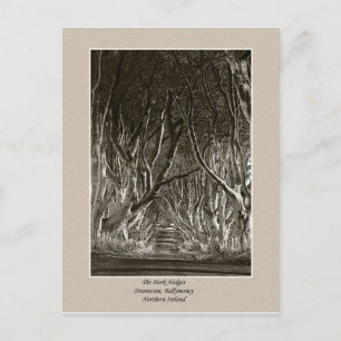 Haies foncées, Stranocum, Ballymoney NI carte post