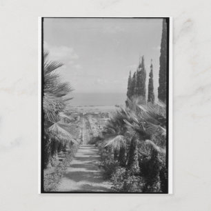 Haifa - van Mt. Carmel, jaren 20 Briefkaart