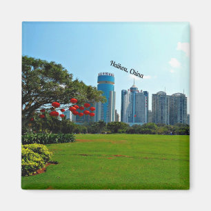 Haikou, China cityscape Magneet