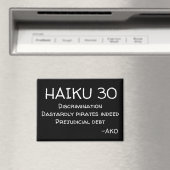 HAIKU 30 MAGNEET (Insitu (Vaatwasser))