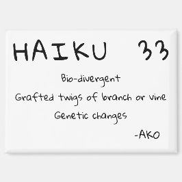 HAIKU 33 MAGNEET