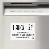 HAIKU 34 MAGNEET (Insitu (Vaatwasser))