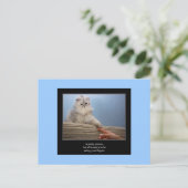 haiku cat 14 carte postale (Debout devant)