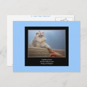 haiku cat 14 carte postale (Devant / Derrière)